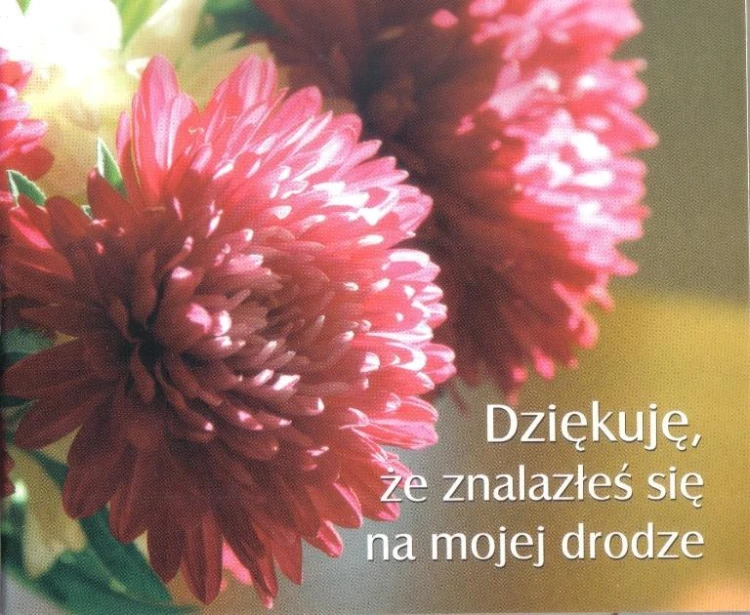 6a32fd2e9a9ec5f963fa8df2eee59845
