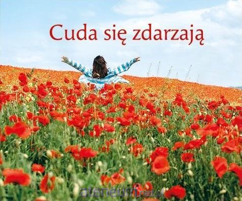 936ff8c7f4136f93803ca7ce9e16f792