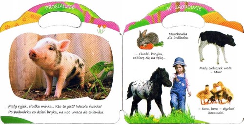 7db339b3861ed60de56c17bbb91ba07d.jpg